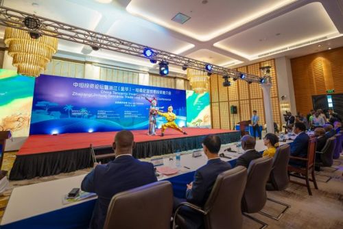 2023中非文化合作交流月 構(gòu)筑合作橋梁,共創(chuàng)美好未來